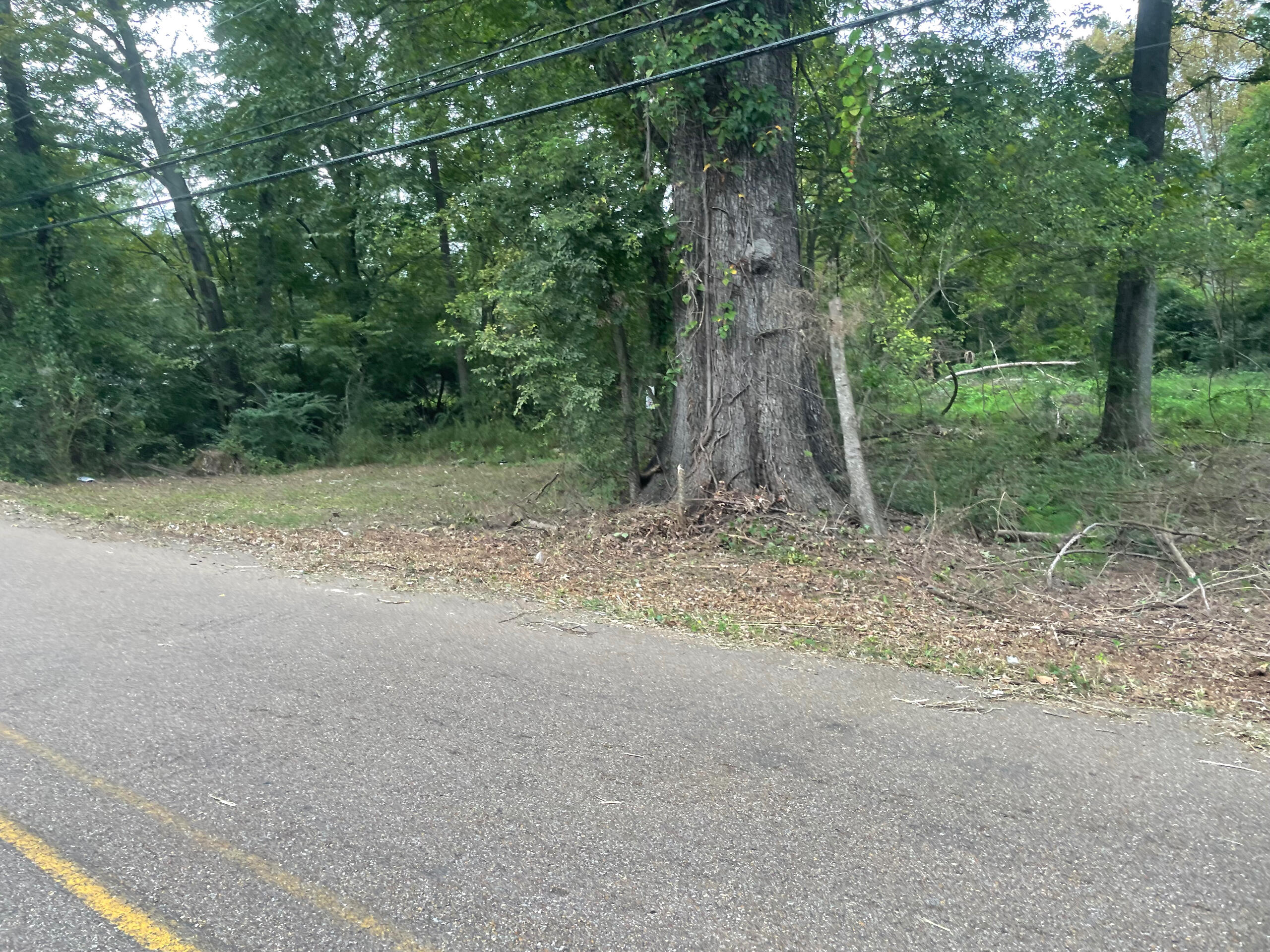 206 Cedars of Lebanon, Jackson, MS Panoramic View